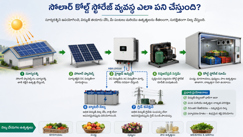 Cold Storage for Vegetables