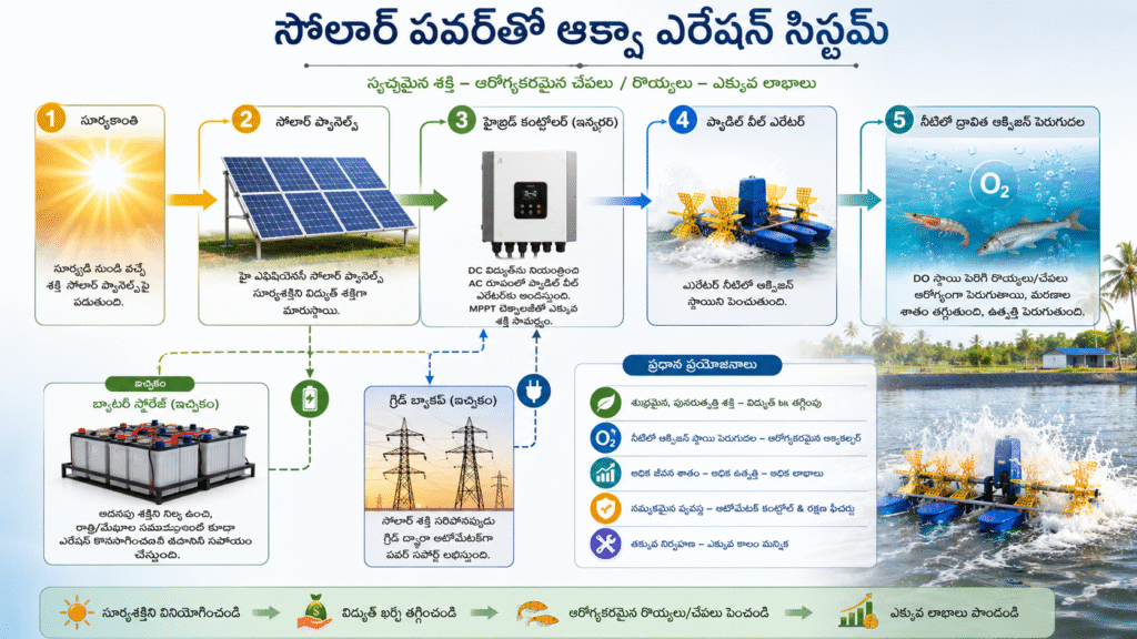 Commercial Solar for Aquaculture West Godavari